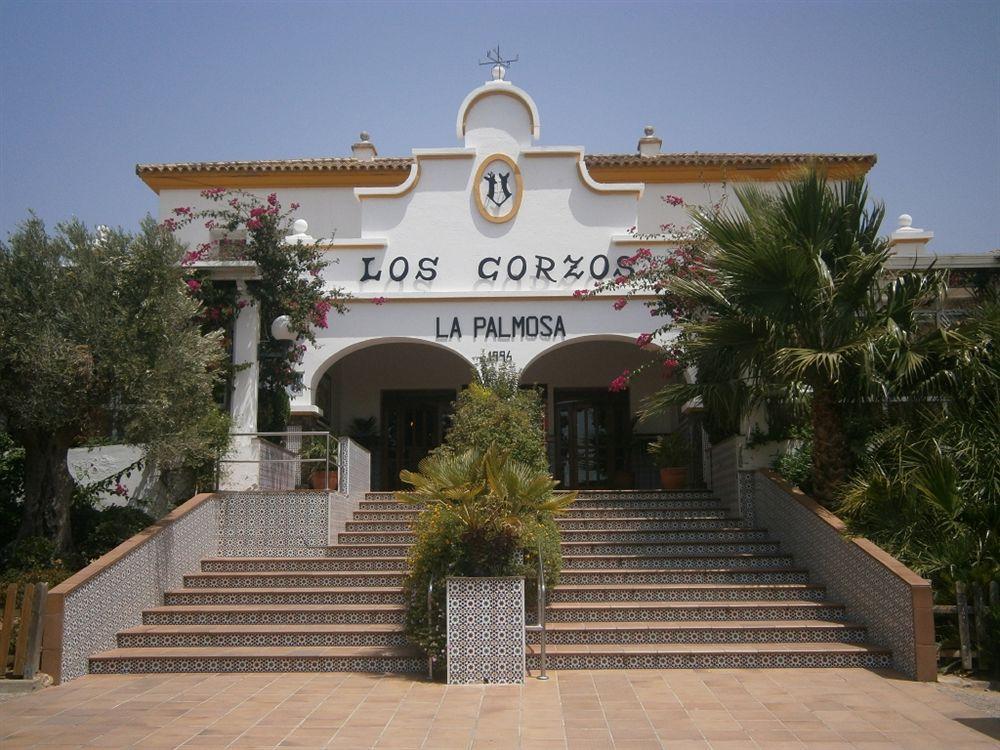 Hotel La Palmosa à Alcalá de los Gazules Extérieur photo